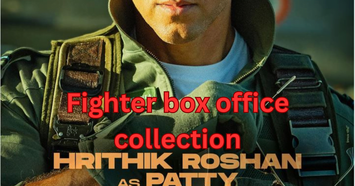 Fighter box office collection